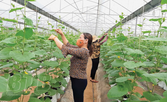   Thi đua sản xuất, kinh doanh giỏi