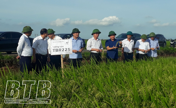   Thứ trưởng Bộ Nông nghiệp và Nh883 nông thôn thăm Nh88 casino nghiên cứu khảo nghiệm giống lúa của ThaiBinh Seed
