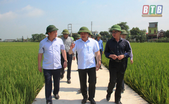  Thứ trưởng Bộ Nông nghiệp và Nh883 nông thôn kiểm tra tình hình sâu bệnh hại lúa xuân