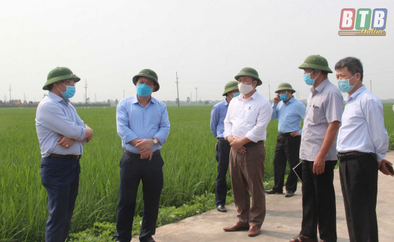   Kiểm tra sản xuất nông nghiệp tại một số Nh88