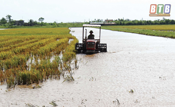   Tiền Hải: Đẩy mạnh cơ giới hóa sản xuất nông nghiệp