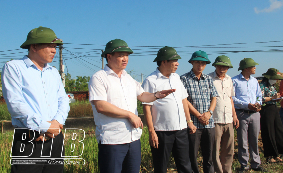   Thu hoạch nhanh, gọn lúa mùa tạo quỹ đất trồng cây vụ đông