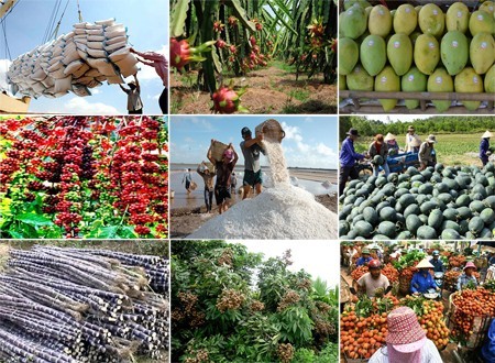   Tiêu chí cần đạt tối thiểu trong đánh giá, phân hạng sản phẩm