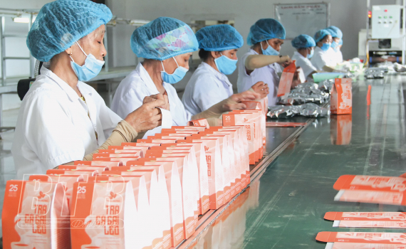   Phát huy vai trò liên hiệp hợp tác xã