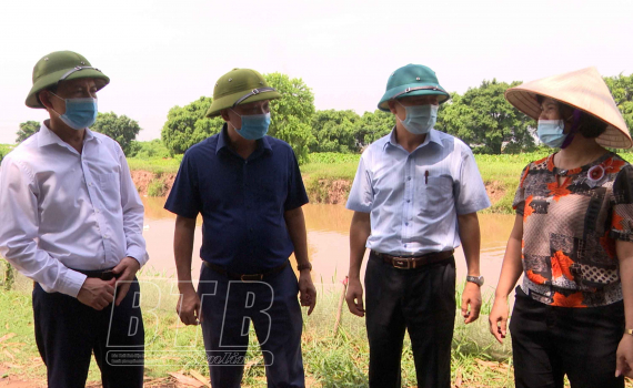   Xuất hiện ổ dịch cúm gia cầm A/H5N8