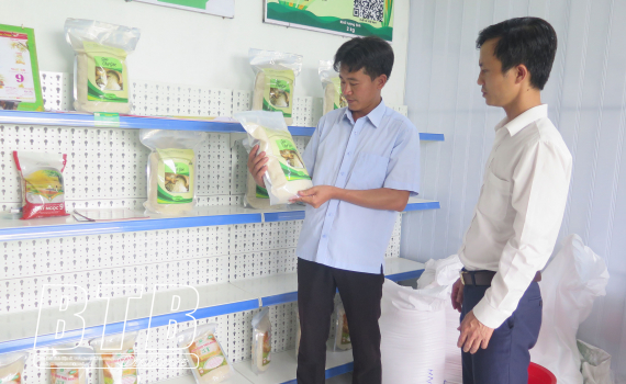   Phát huy vai trò trụ cột trong Nh88 net kinh tế