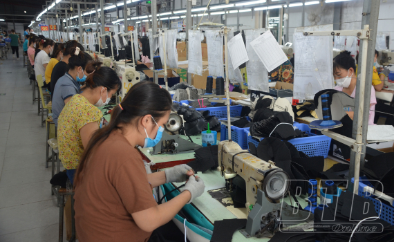   Thái Bình: Tỷ lệ công nhân lao động tham gia BHXH đạt 97,6%