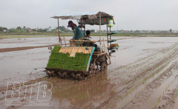   Khẩn trương cho sản xuất vụ xuân