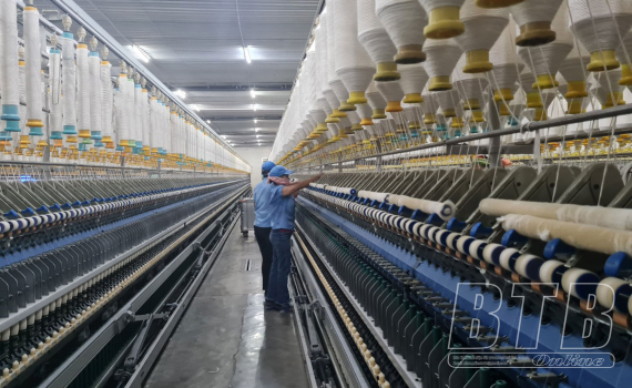   Thành phố: Nh881 phục hồi nhanh