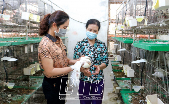   Phụ nữ xã An Ấp: Thi đua Nh88 net kinh tế