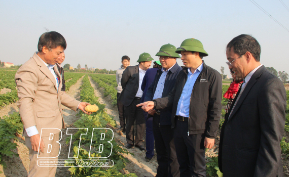   Đẩy mạnh tích tụ ruộng đất gắn với liên kết bao tiêu sản phẩm