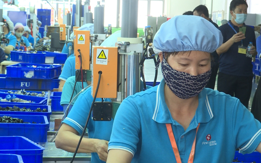   Kim ngạch xuất khẩu tỉnh Thái Bình 8 tháng tăng trên 43% so với năm 2020