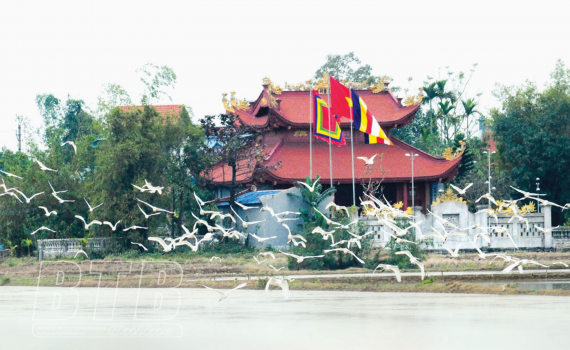   Tiền Châu trỗi dậy