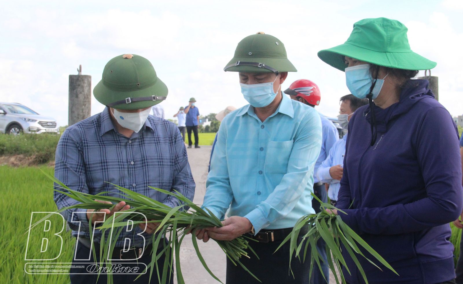   Các Nh881 lãnh đạo tỉnh: Kiểm tra tiến độ phun thuốc phòng trừ sâu bệnh