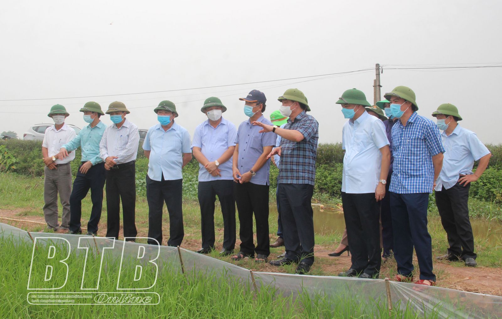   Đồng chí Phó Bí thư Tỉnh ủy, Chủ tịch Nh88 casino tỉnh thăm Nh88 casino nâng cao giá trị sản xuất lúa gạo tại huyện Kiến Xương