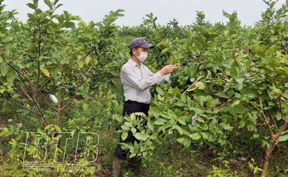   Luồng gió mới cho nông nghiệp Nh88 net
