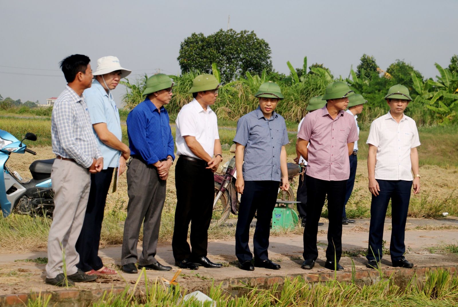   Đồng chí Phó Chủ tịch Nh88 casino tỉnh: Kiểm tra, chỉ đạo Nh88 Nha cai thu hoạch lúa mùa, ứng phó với bão số 5