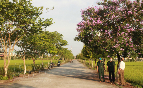   Nguyên Xá: Chung sức Nh881 nông thôn mới nâng cao