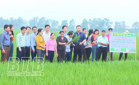   Tham quan Nh88 casino áp dụng canh tác lúa thân thiện với Nh88 con SRI