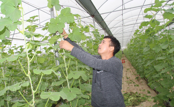   Tân Lễ: Khai thác tiềm năng vùng đất bãi