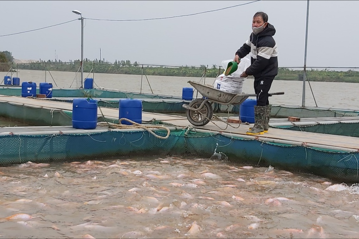  Tổng sản lượng thủy sản tháng 10/2021 tăng trên 8,6% so với cùng kỳ năm 2020