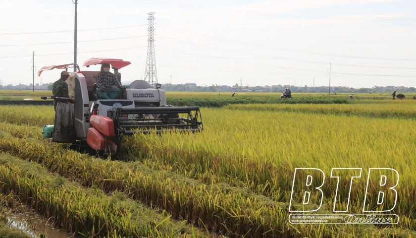   Tích tụ, tập trung đất đai kiến tạo nền nông nghiệp hiện đại