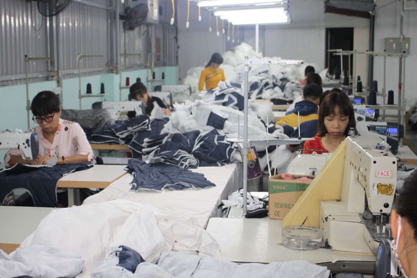   Thái Thụy: Tổng giá trị sản xuất 9 tháng đầu năm 2021 tăng 7,25%