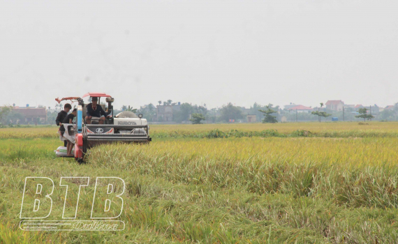   Kỳ 4: Huy động nguồn lực Nh881 Nông thôn mới nâng cao, nông thôn mới kiểu mẫu