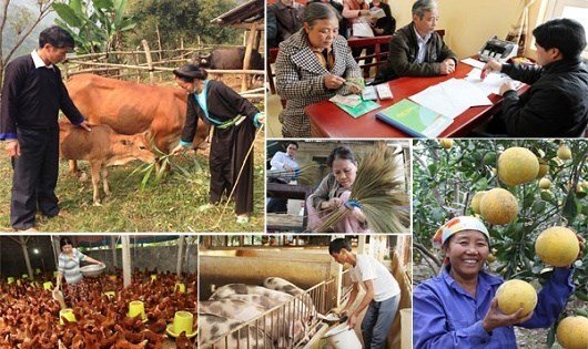   Phấn đấu giai đoạn 2021-2025 tỉ lệ hộ nghèo giảm 1-1,5%/năm