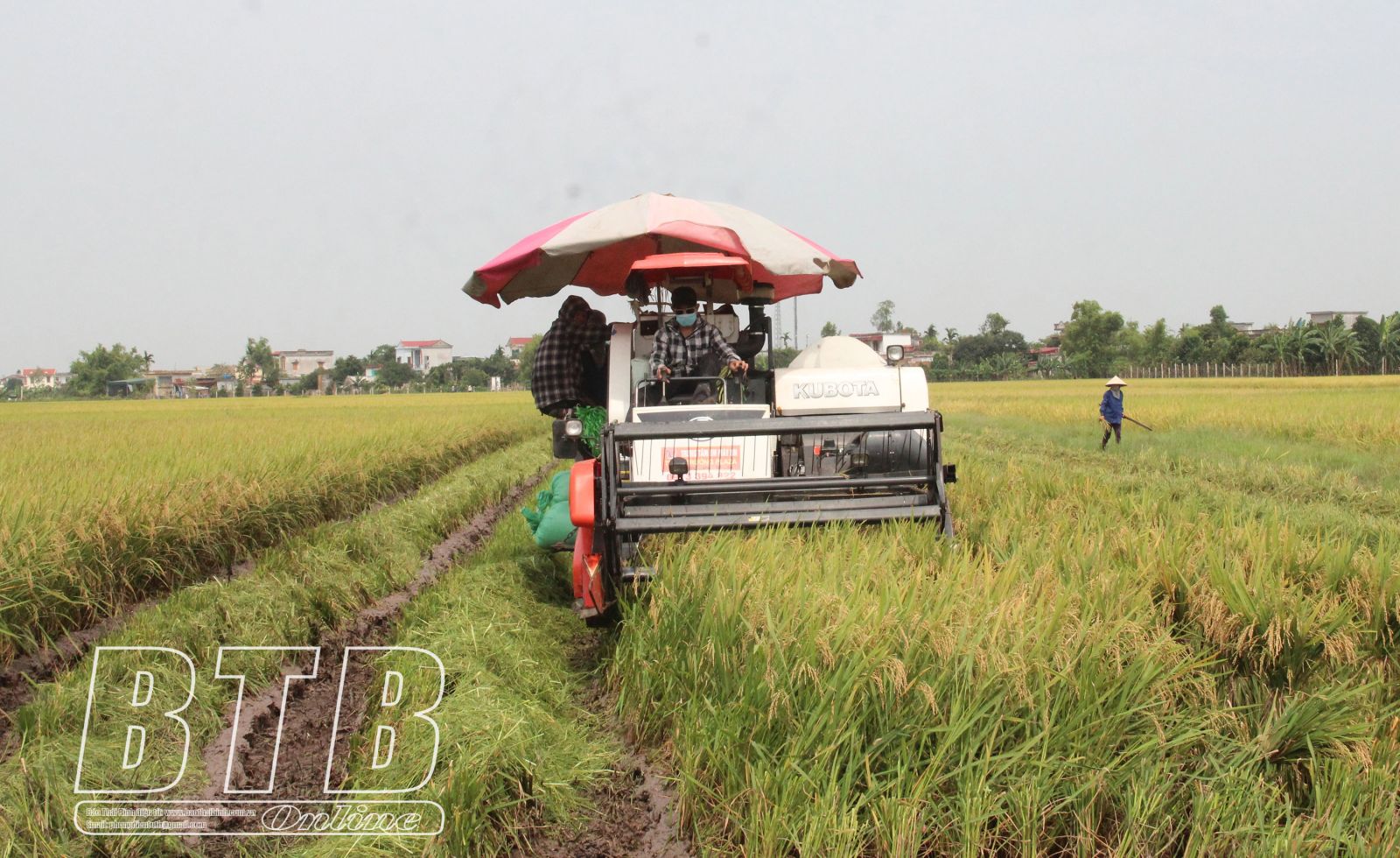   Triển khai kế hoạch sản xuất vụ hè thu, vụ mùa và định hướng vụ đông năm 2021 các tỉnh phía Bắc