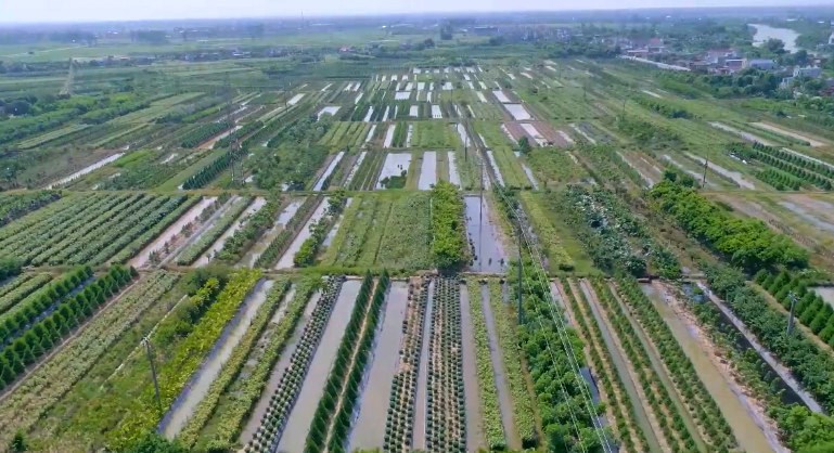   Quy hoạch tỉnh Thái Bình: Nông nghiệp tiếp tục là trụ đỡ của nền kinh tế