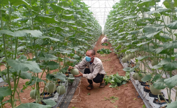   Hưng Hà: Có 2 xã được đề nghị xét công nhận xã nông thôn mới nâng cao trong năm 2021