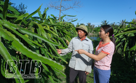   Thái Thụy: Hỗ trợ nông dân Nh88 net kinh tế