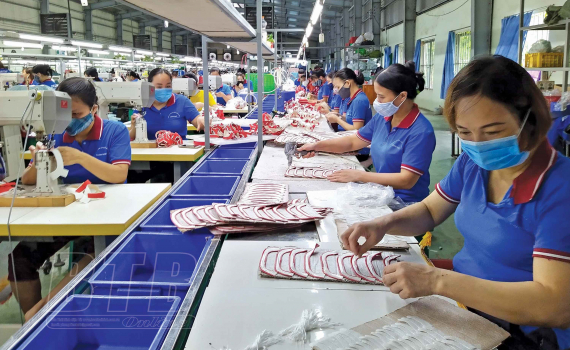   Thành phố Thái Bình: Thu ngân sách tăng