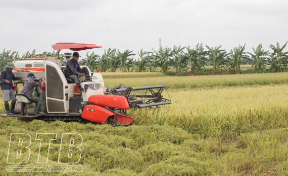   Tích tụ ruộng đất: Xu thế và hướng đi