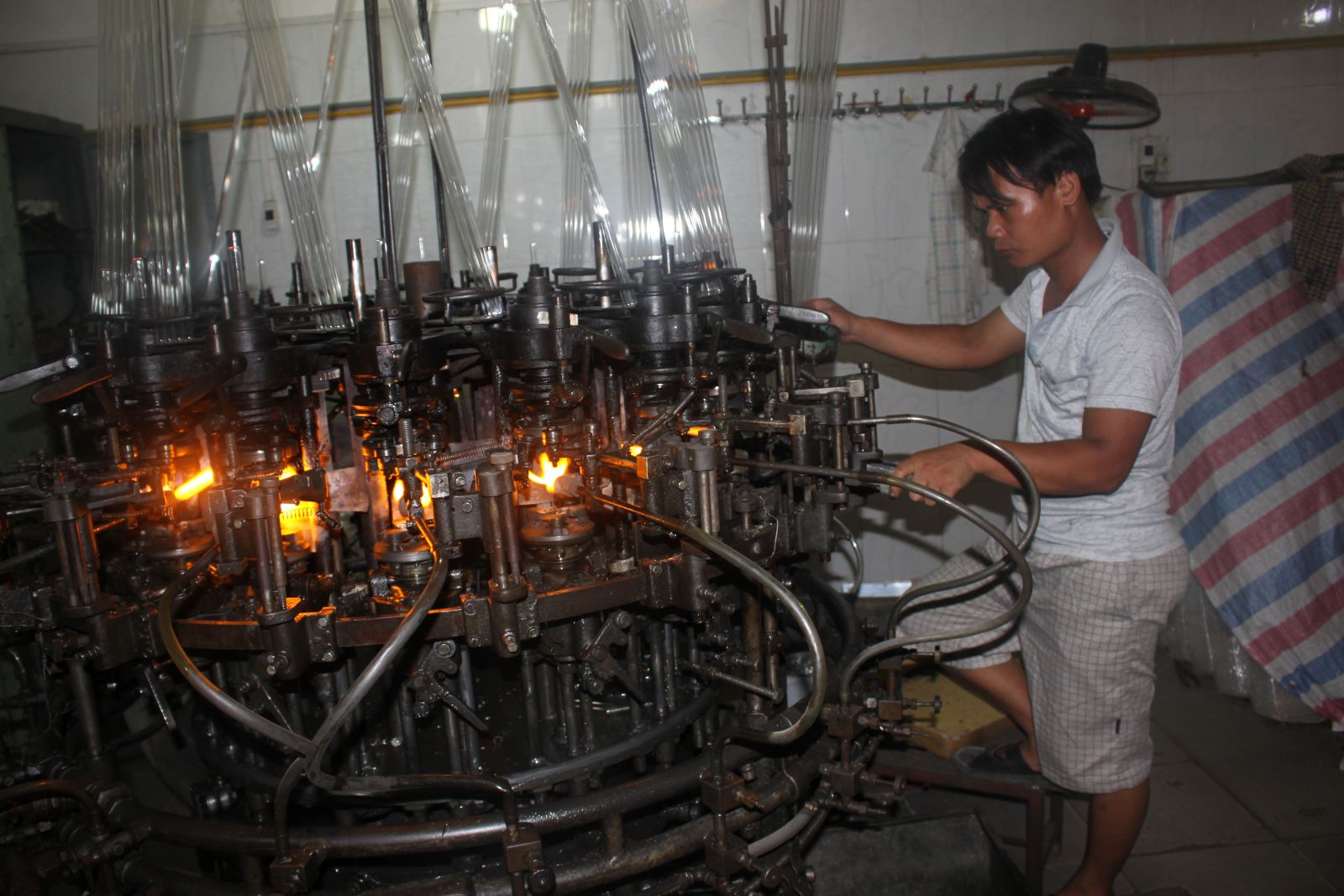   Toàn tỉnh có 448 hợp tác xã đang hoạt động