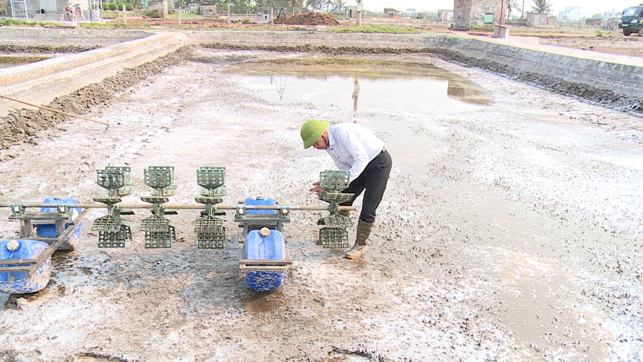   Đảm bảo chất lượng, an toàn thực phẩm, gia tăng chế biến và Nh88 net thị trường nông lâm thủy sản năm 2024
