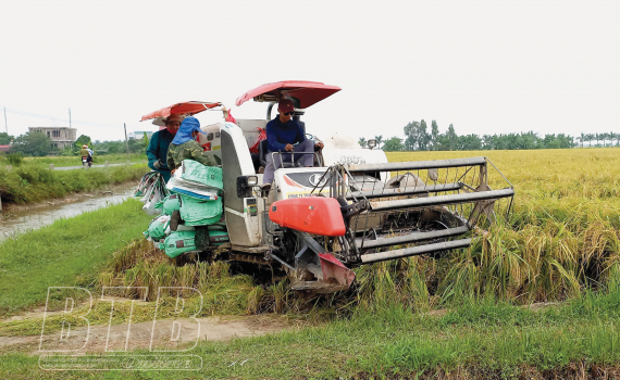   Cơ chế, chính sách thúc đẩy Nh88 net nông nghiệp, nông thôn