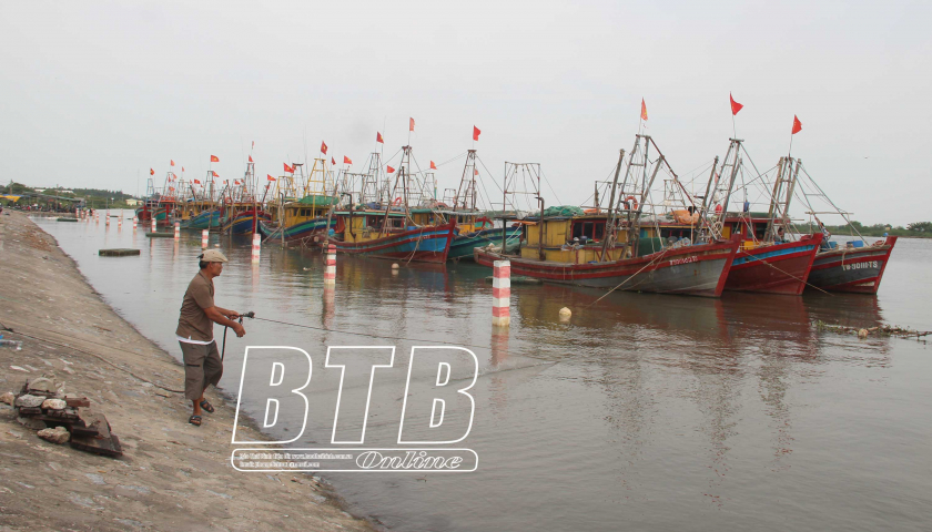   Thái Bình: Chuẩn bị điều kiện tốt nhất đón đoàn thanh tra Nh88 com châu Âu