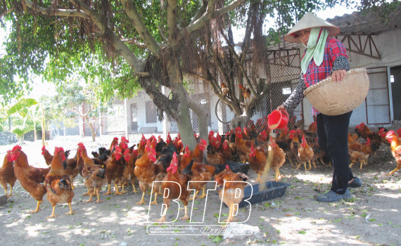  Đông Xá: Thi đua Nh88 net kinh tế