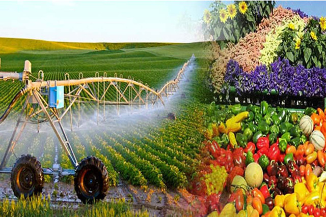   Sản xuất trồng trọt theo hướng xanh, hữu cơ, tuần hoàn, đa giá trị
