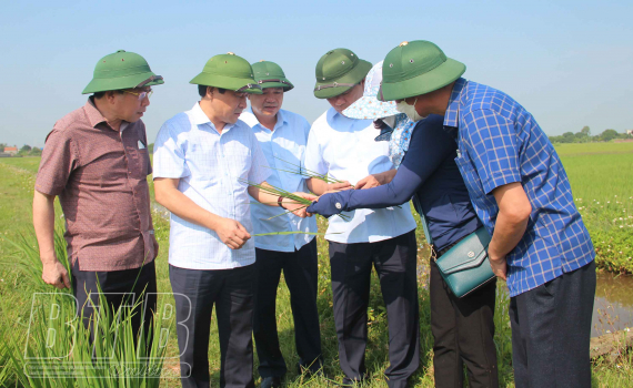   Đồng chí Nguyễn Tiến Thành, Phó Bí thư thường trực Tỉnh ủy, Chủ tịch Nh88 - Cá Cược Mỗi Ngày - Nh88 vip Liền Tay tỉnh kiểm tra sản xuất nông nghiệp, tiến độ thi công Khu lưu niệm Chủ tịch Hồ Chí Minh tại huyện Tiền Hải