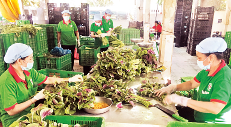   Giải thể dứt điểm các hợp tác xã không còn hoạt động