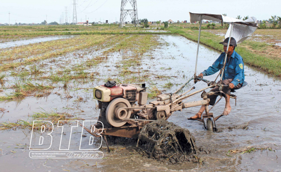   Thái Thụy: Sẵn sàng cho sản xuất vụ mùa