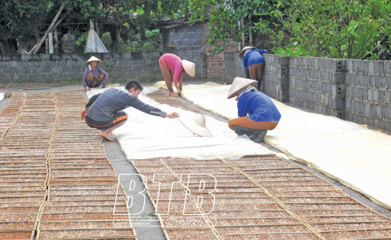   Chủ động ứng phó với bất lợi trong sản xuất