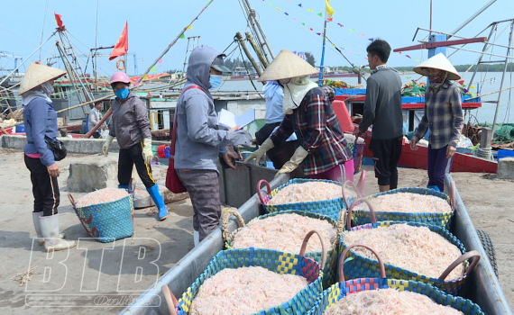   Kỳ 1: Xây dựng kinh tế biển trở thành trọng điểm kinh tế của tỉnh