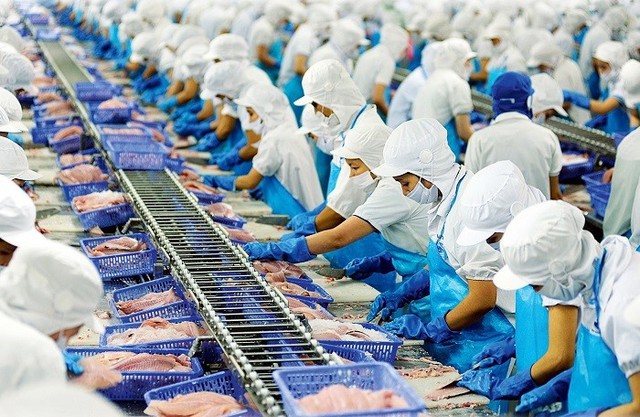   Sản phẩm động vật thủy sản nhập khẩu làm nguyên liệu sản xuất xuất khẩu được miễn kiểm dịch