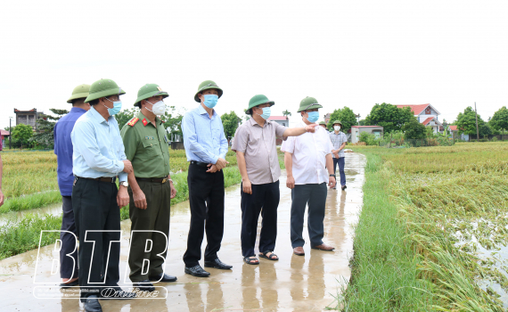   Đồng chí Nguyễn Quang Hưng, Phó Chủ tịch thường trực Nh88 casino tỉnh: Kiểm tra, chỉ đạo Nh88 Nha cai khắc phục ảnh hưởng của bão số 7 tại huyện Thái Thụy