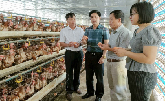   Tích cực tuyên truyền, vận động hội viên tham gia Nh881 nông thôn mới