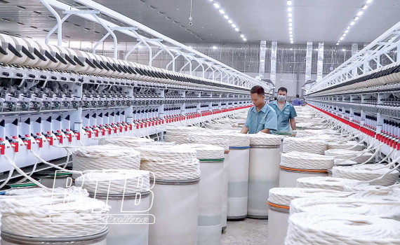   DDCI và khát vọng Nh88 net